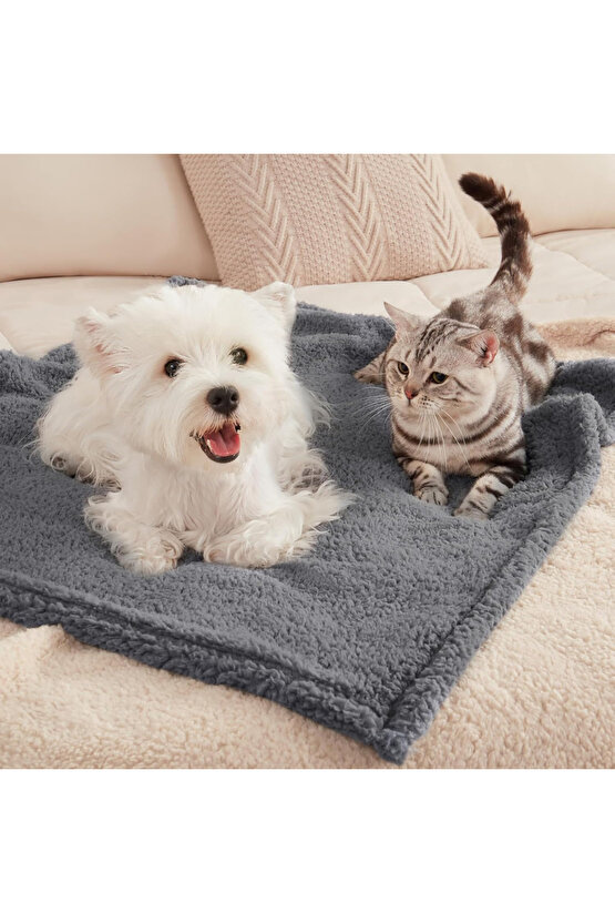 Beylini Kedi Köpek Battaniyesi Premium Peluş Evcil Hayvan Uyku Battaniyesi Yıkanabilir Gri