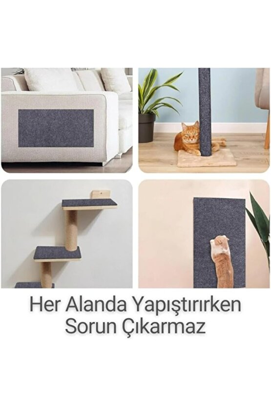 Beylini Tırmalama Halısı Yapışkanlı Her Yüzeye Uygulanabilir Kesilebilir Mobilya Koruyucu Mat