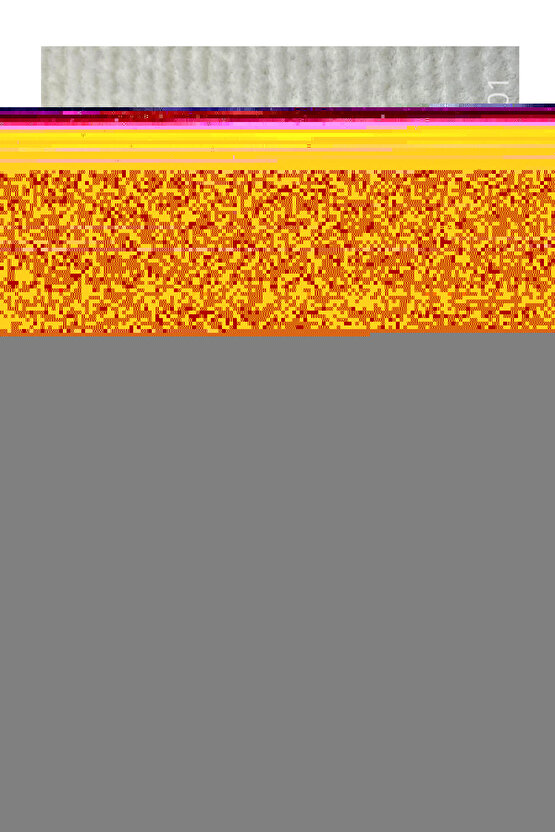 Matisse - Sanat - Soyut - Doğa - Ev - Yaşam ( 2 Li Çerçevesiz ) Poster - Afiş - Tablo NNHT483