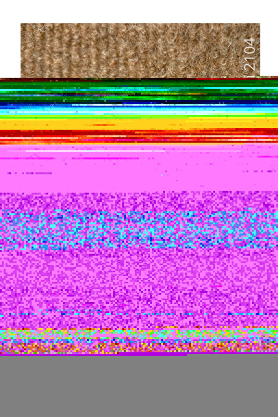 Matisse - Sanat - Soyut - Doğa - Ev - Yaşam ( 2 Li Çerçevesiz ) Poster - Afiş - Tablo NNHT801