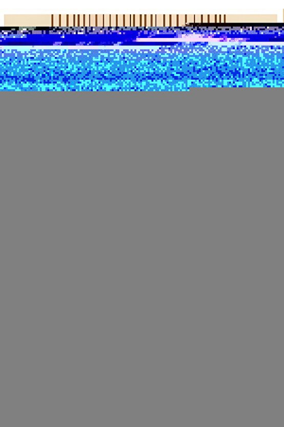 2’li Kumaş Kaplı Kitap Görünümlü Dekoratif Kutu | Hediye & Takı Kutusu