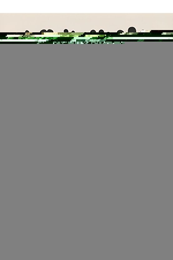 Resim Paleti Spatula Sünger Tampon Ponpon Fırça