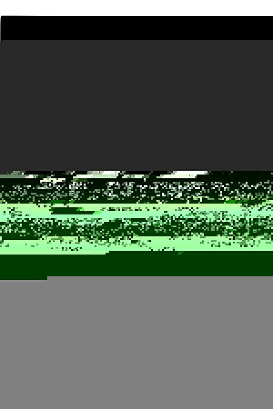 Arı Yayınları 2023-2024 8. Sınıf Lgs İnkılap Tarihi Atölyem