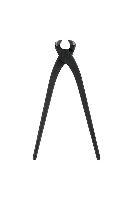 WP231123 250mm CR-V Profesyonel Betoncu Kerpeteni