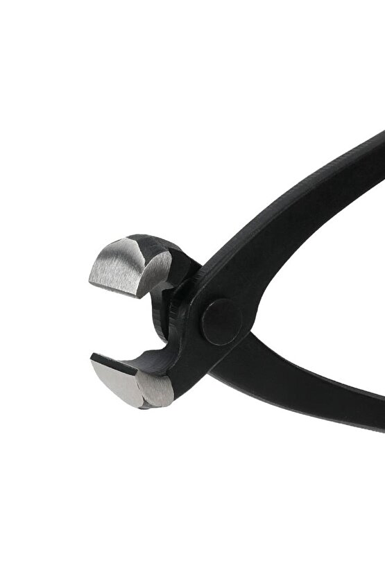 WP231123 250mm CR-V Profesyonel Betoncu Kerpeteni