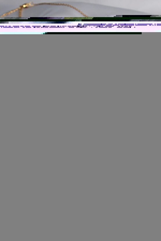 316L Çelik Gold Renk Zirkon Taşlı Kanatlı Kalp Model Kadın Kolye