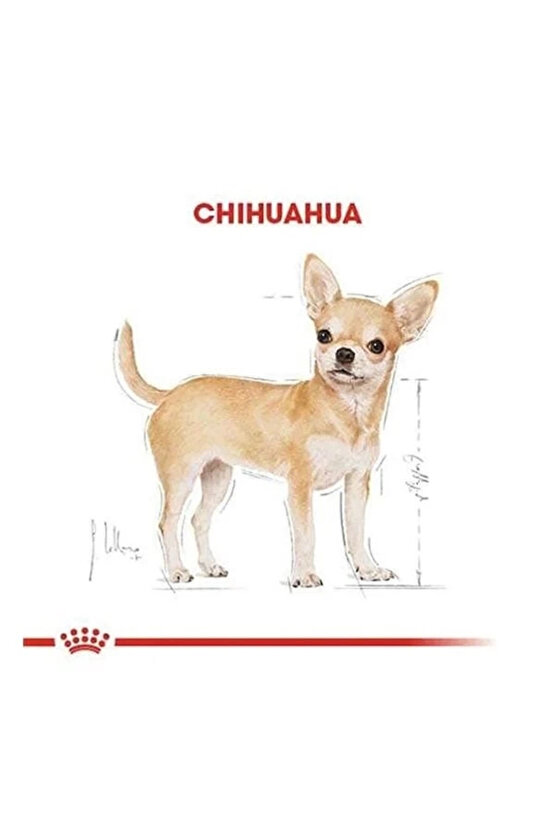 Chihuahua Adult Yetişkin Köpek Maması 1.5 Kg
