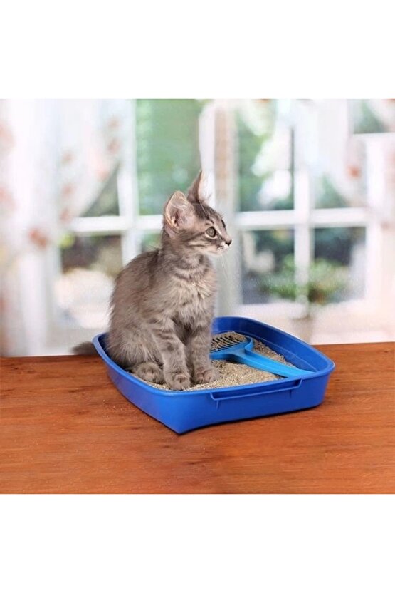 Micro Fresh Bahar Kokulu Topaklanan Doğal Kedi Kumu 1 Adet 6 Lt