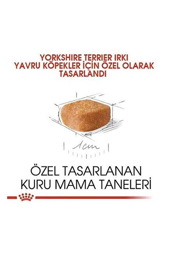 Yorkshire Terrier Junior Yavru Köpek Maması 1.5 Kg