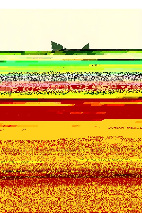 Kadın İçi Kürklü Suni Deri Mont - Crop Biker Deri Ceket