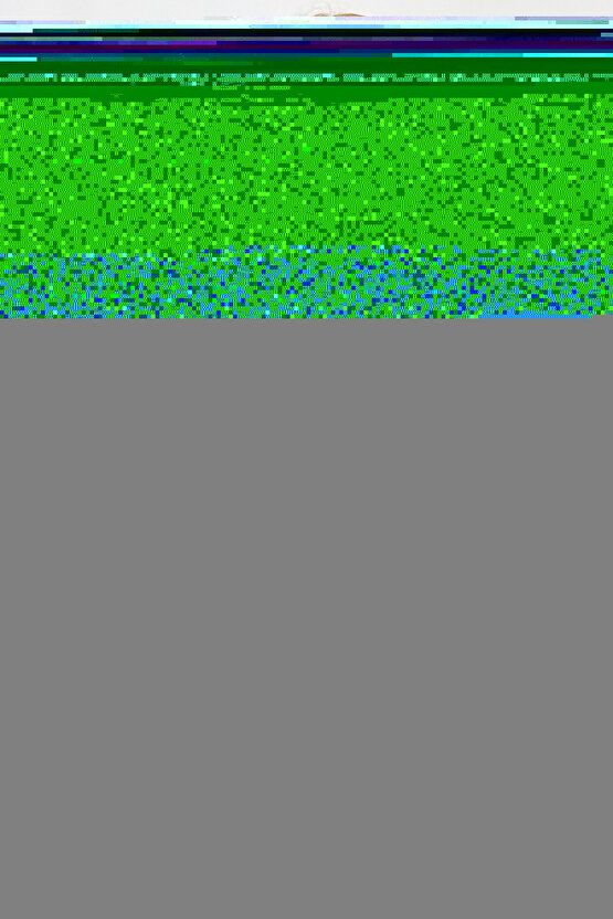 Matisse - Sanat - Soyut - Doğa - Yaşam ( Tekli Çerçevesiz ) Poster - Afiş - Tablo MKKM1283