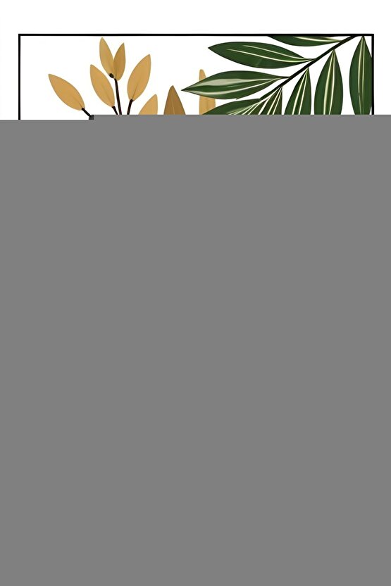 Momento Plus Profesyonel Mat Plastik Iç Cephe Boyası 7.5lt (atlas)