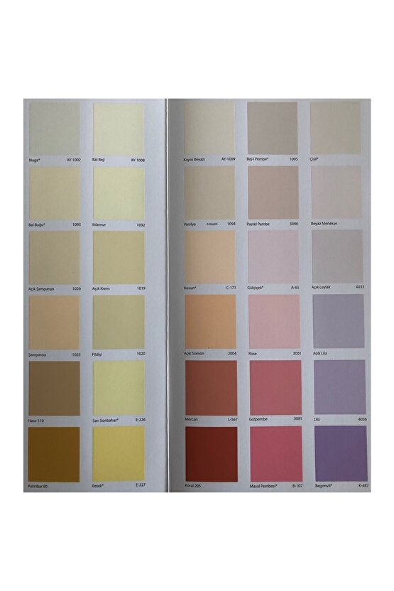 Momento Plus Profesyonel Mat Iç Cephe Plastik Boyası