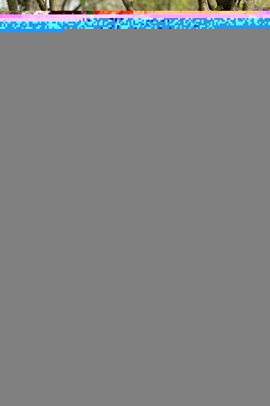 W341 Termoplastik El Bilek Splinti Sol Small