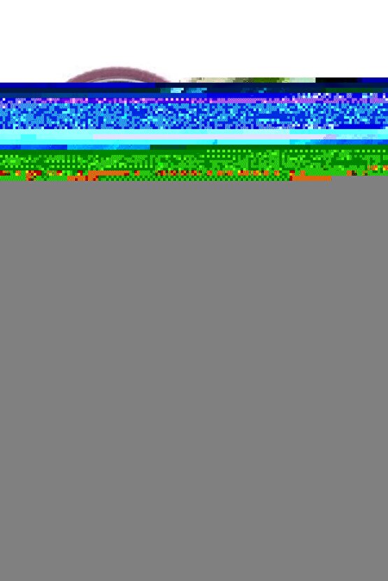 Lüks Şarjlı Tiftik Kazak Toplama Makinesi - Kıyafet Temizleme - Şarjlı Tüy Toplayıcı - Tüy Tplama Ma