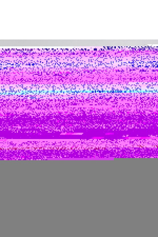 Sonic Medikal Doktor Çantası Sonic Prime Oyuncak Doktor Seti