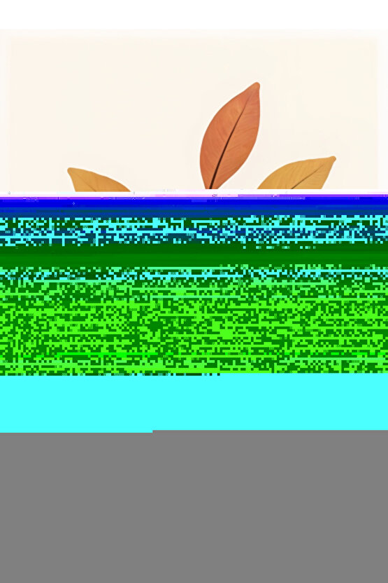 Seyyar Klozet Hasta Tuvaleti Direk Tuvalete Hasta Wc