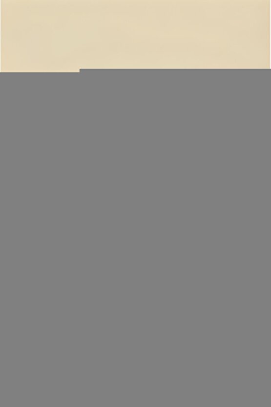 332 Mikro Giydirme Koltuk Örtüsü(VİZON)