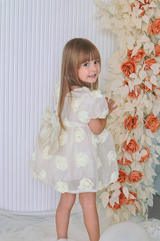 Kız Bebek Kız Çocuk Doğum Günü Parti Düğün Elbise Kısa Kol Tüllü Tütülü Tütü Astarlı