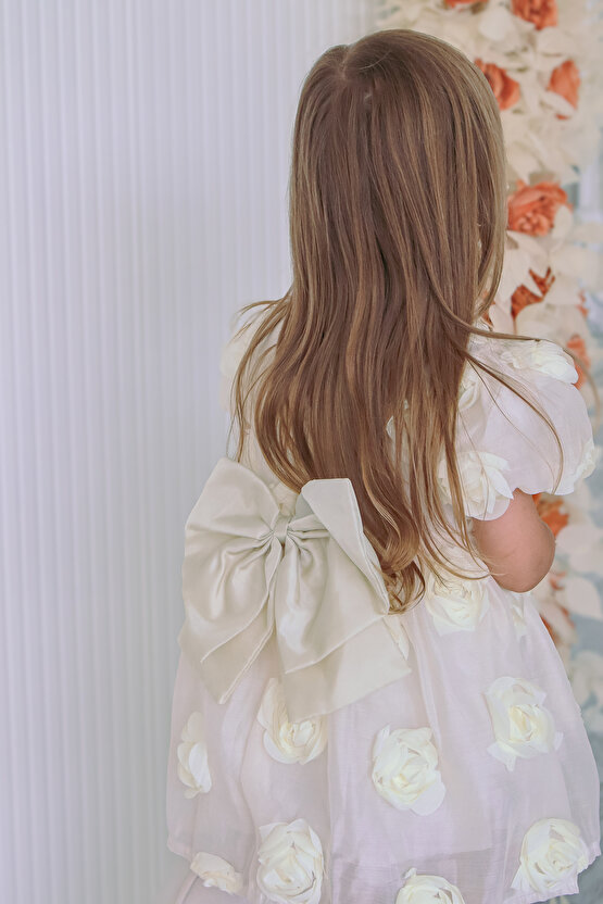 Kız Bebek Kız Çocuk Doğum Günü Parti Düğün Elbise Kısa Kol Tüllü Tütülü Tütü Astarlı