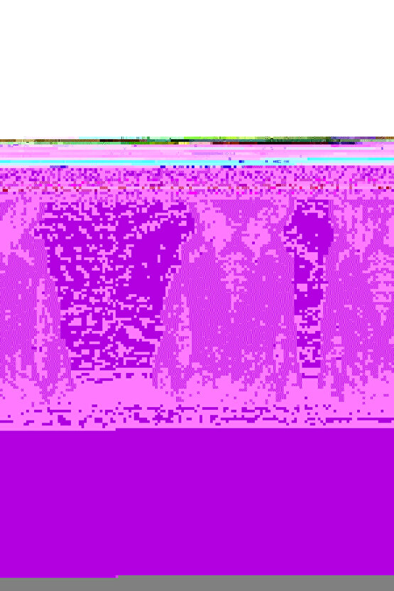 Air Jordan XX 20 Retro Stealth Koleksiyonluk Basketbol Ayakkabısı