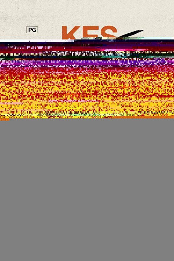 15 Watt, Amber Işık Ledli, Çok Kaliteli İç ve Dış Mekan Aydınlatma Armatürü, Led Bahçe Duvar Apliği