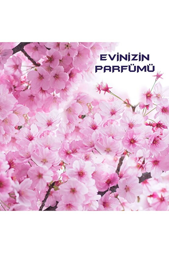 Fresh Yüzey Temizleyici Pembe Düşler 2500 ml