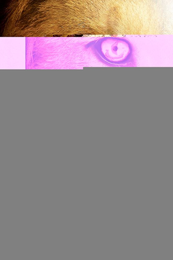 Lenovo Tab M10 FHD Plus TB-X606F Tablet Uyumlu Şarjlı Touchpadli Yuvarlak Tuş RGB Bluetooth Klavye