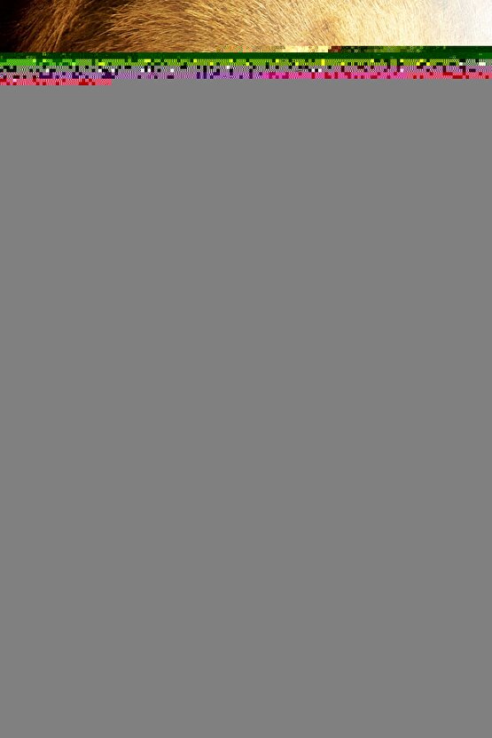 Jedi 010 32GB 10 Tablet Uyumlu Şarjlı Touchpadli Yuvarlak Tuş RGB Bluetooth Klavye