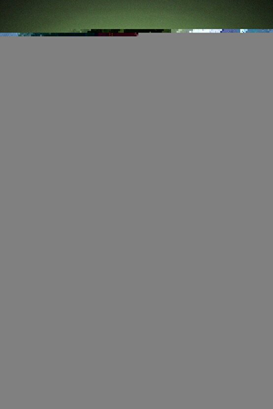 The Lord of the Rings The War of the Rohirrim 2024 1 POSTER AFİŞ