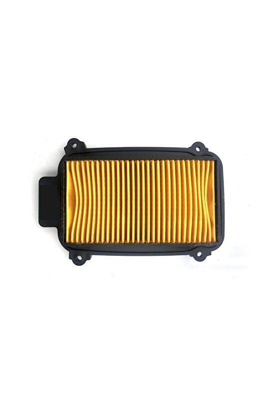 Hero 102 Pleasure - Duet Hava Filtre Elemanı