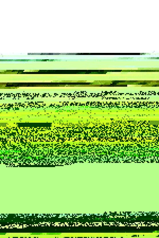 The Devil Inside (2012) 2 AFİŞ - POSTER ( FOLYO ) - AFİŞ - POSTER-6780