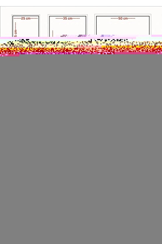 Beyaz Deri Kadın Ayakkabı