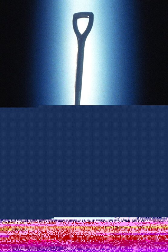 Kırmızı lale tarlası doğa manzaralı kanvas tablo