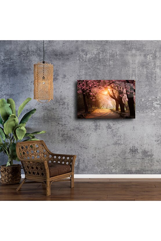 Romantik Kiraz Çiçeği Yolu Duvar Tablosu
