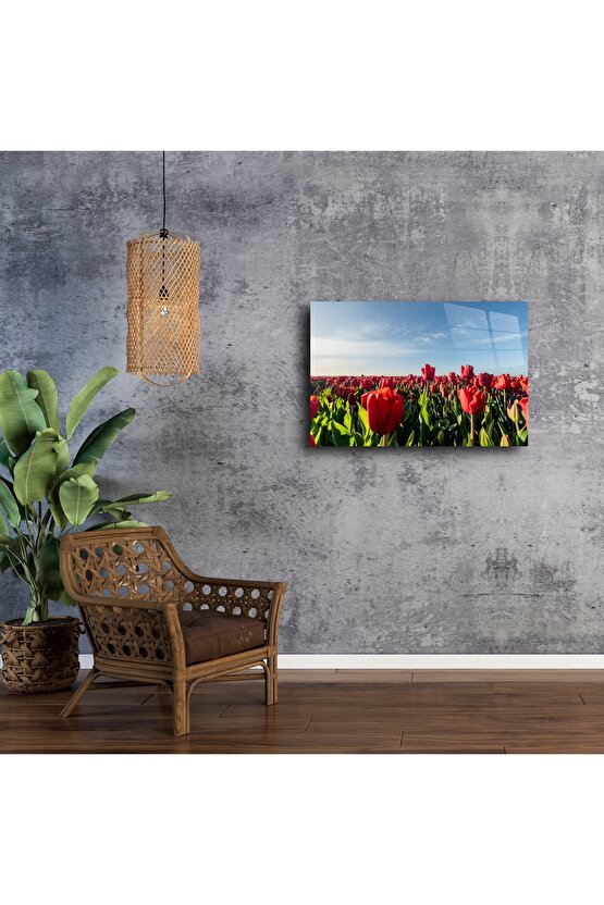 Panoramik Kırmızı Lale Tarlası Cam Tablo