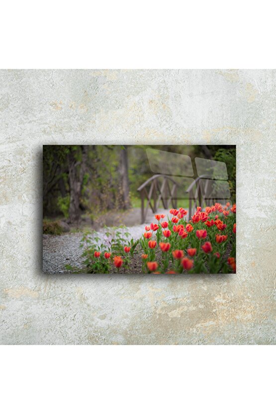 Ahşap Köprü ve Kırmızı Lale Bahçesi Cam Tablo