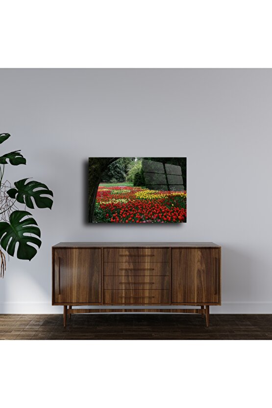 Canlı Lale Tarlası Duvar Sanatı
