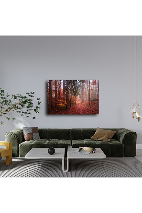 Kırmızı Yapraklı Orman Yolu Cam Duvar Tablosu