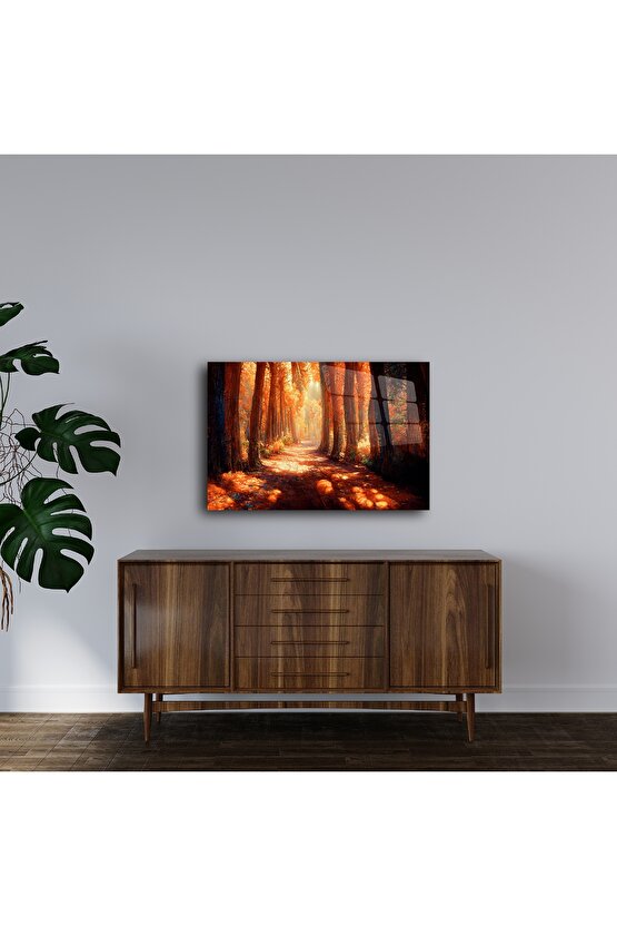Sonbahar Orman Yolu Temalı Cam Duvar Tablosu