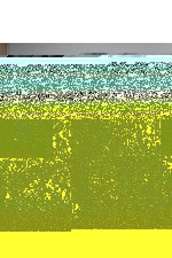 Lüks Doğa Manzaralı Cam Tablo