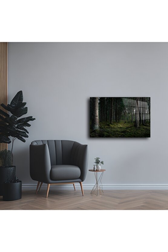 Doğal Orman Manzaralı Cam Tablo