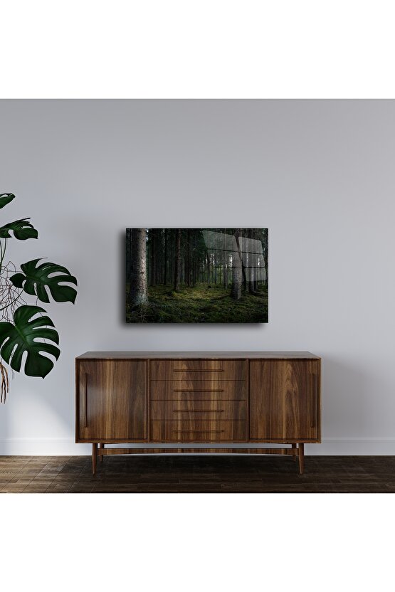 Doğal Orman Manzaralı Cam Tablo