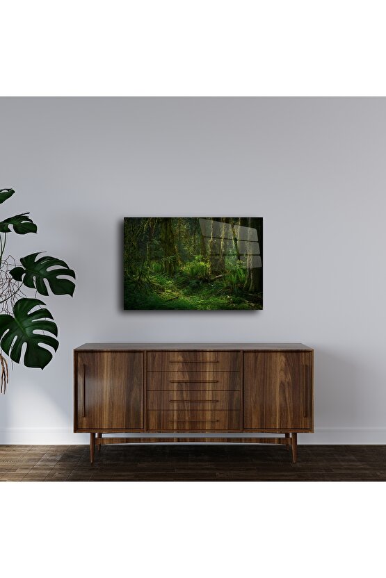 Orman Manzaralı Yeşil Cam Tablo