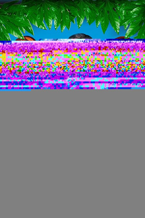 Kırmızı Primula Çiçekli Cam Tablo