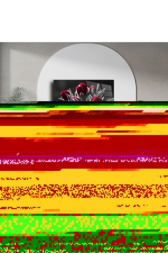 Siyah Beyaz Zemin Üzerine Kırmızı Gonca Çiçek Cam Tablo