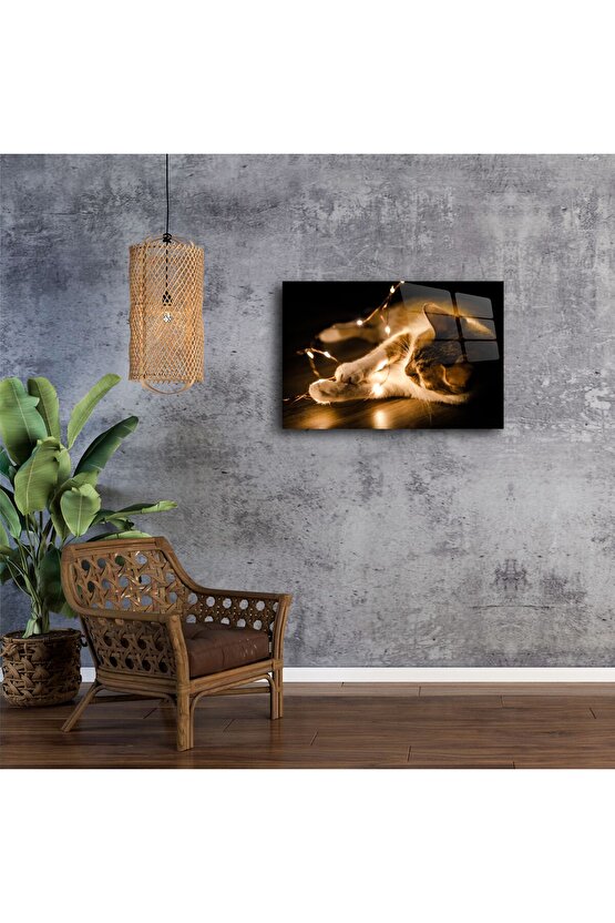 Işıklarla Oynayan Kedi Cam Tablo