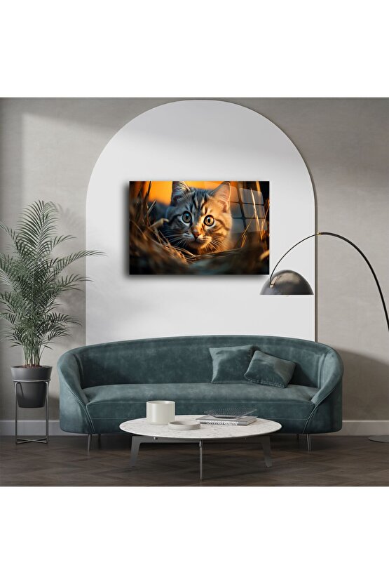 Yakın Plan Kedi Temalı Cam Tablo