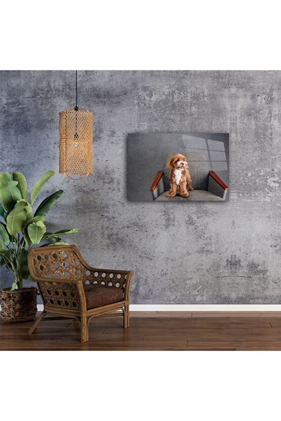 Sevimli Kahverengi Beyaz Küçük Irk Köpek Kanvas Tablo