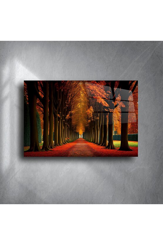 Kırmızı Yapraklı Ağaç Tüneli Cam Tablo